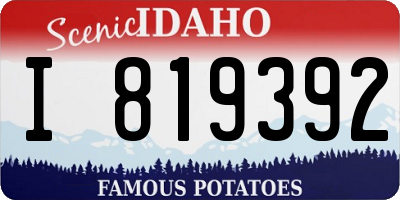 ID license plate I819392