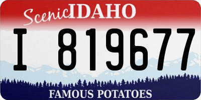ID license plate I819677