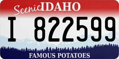 ID license plate I822599