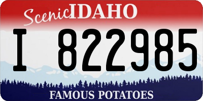 ID license plate I822985