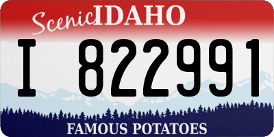ID license plate I822991