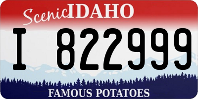 ID license plate I822999