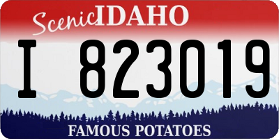 ID license plate I823019
