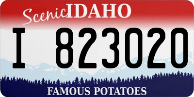 ID license plate I823020