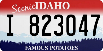 ID license plate I823047
