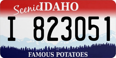 ID license plate I823051