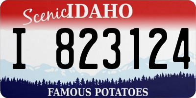 ID license plate I823124
