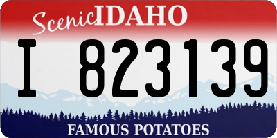 ID license plate I823139