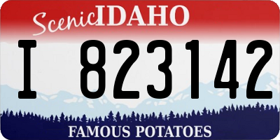 ID license plate I823142