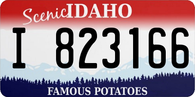 ID license plate I823166