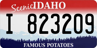 ID license plate I823209