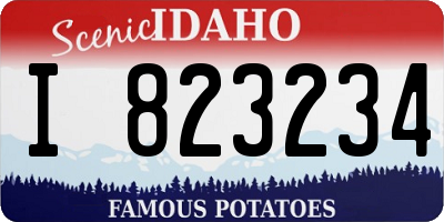 ID license plate I823234