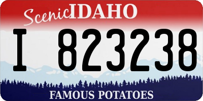 ID license plate I823238