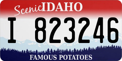 ID license plate I823246