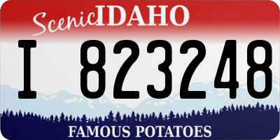 ID license plate I823248
