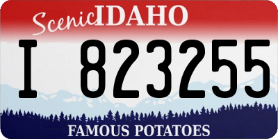 ID license plate I823255