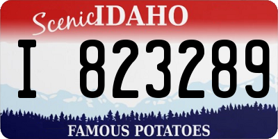 ID license plate I823289
