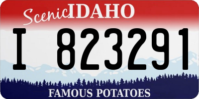 ID license plate I823291