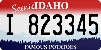 ID license plate I823345