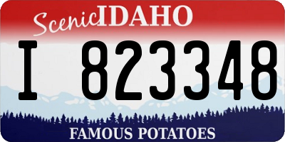 ID license plate I823348