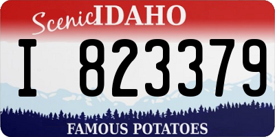 ID license plate I823379