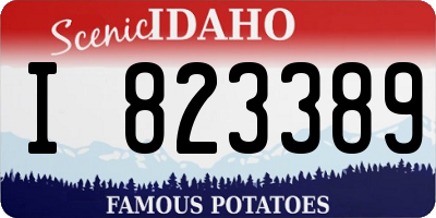 ID license plate I823389
