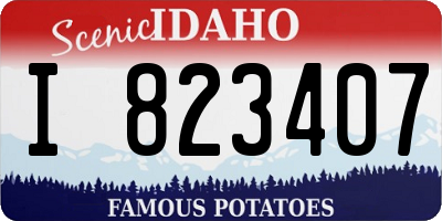 ID license plate I823407