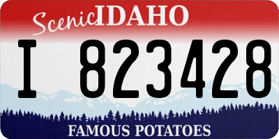 ID license plate I823428