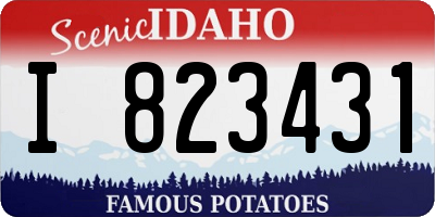 ID license plate I823431