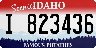 ID license plate I823436