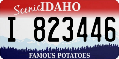 ID license plate I823446
