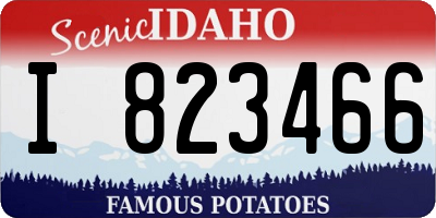ID license plate I823466