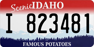 ID license plate I823481