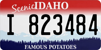 ID license plate I823484