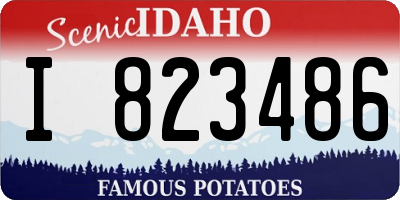 ID license plate I823486