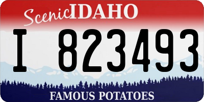 ID license plate I823493