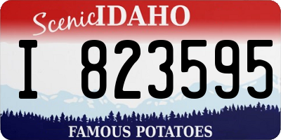 ID license plate I823595