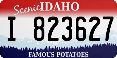 ID license plate I823627