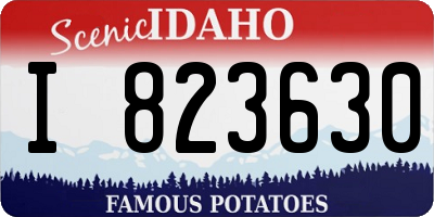 ID license plate I823630