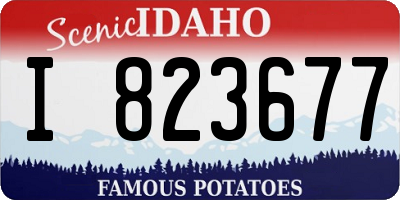 ID license plate I823677