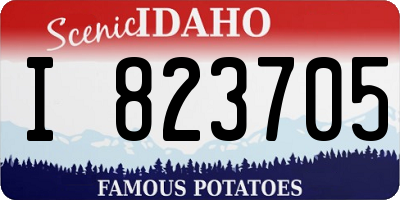 ID license plate I823705