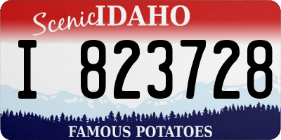 ID license plate I823728
