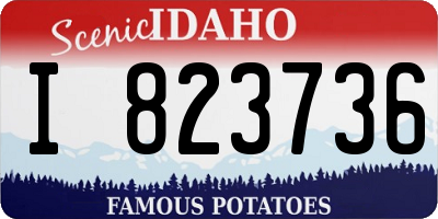ID license plate I823736