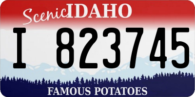 ID license plate I823745