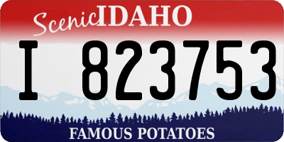 ID license plate I823753