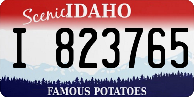 ID license plate I823765
