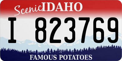 ID license plate I823769