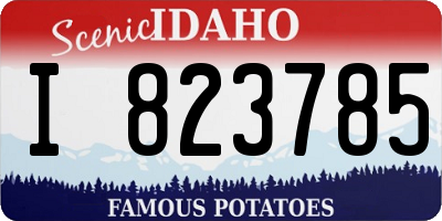 ID license plate I823785