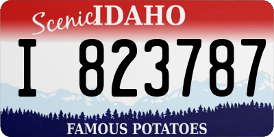 ID license plate I823787