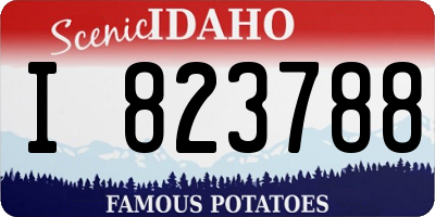ID license plate I823788